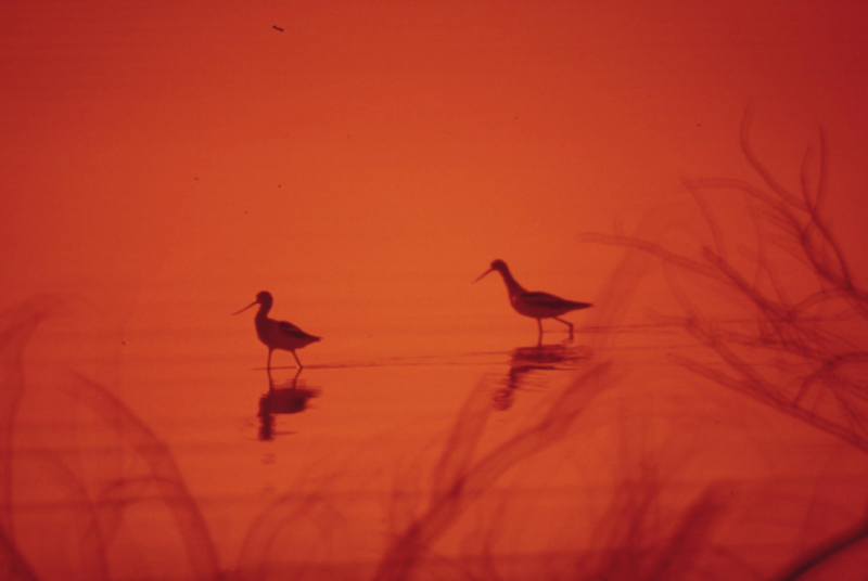 Rob: ‘Er zit er nog&nbsp;één!’